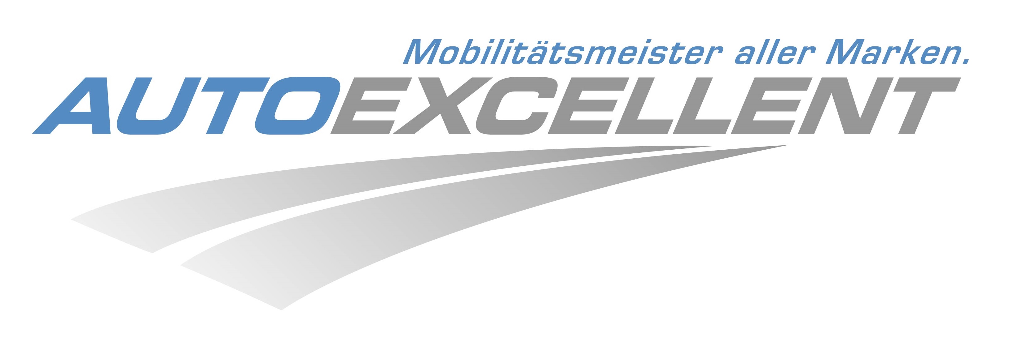 AutoExcellent